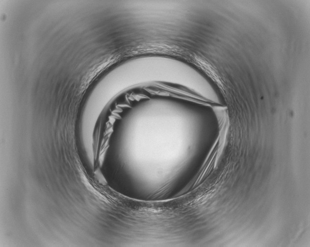 X0000087030538200705071537