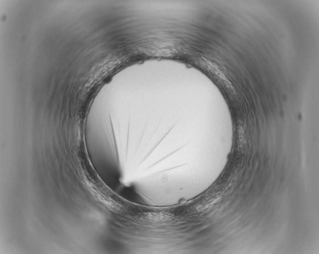 X0000087030541200705071537