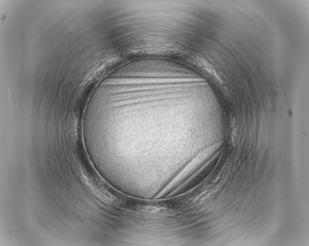 X0000087030542200705071537