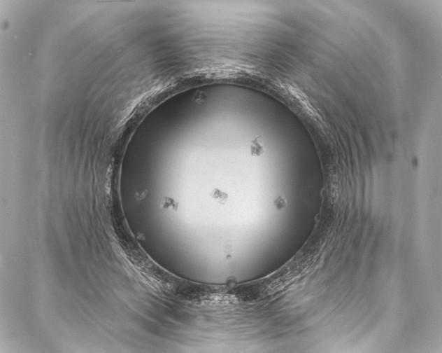 X0000087030543200705071537