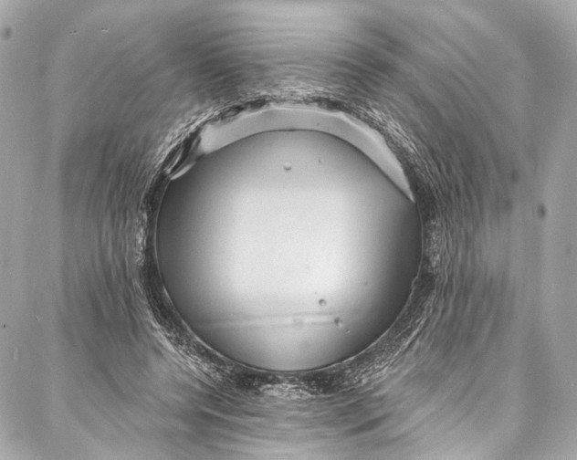 X0000087030544200705071537