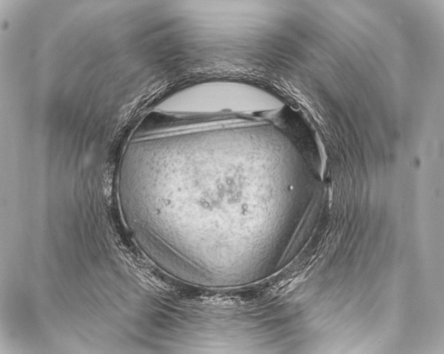 X0000087030545200705071537