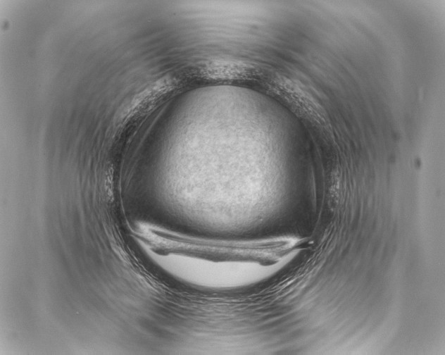 X0000087030547200705071537