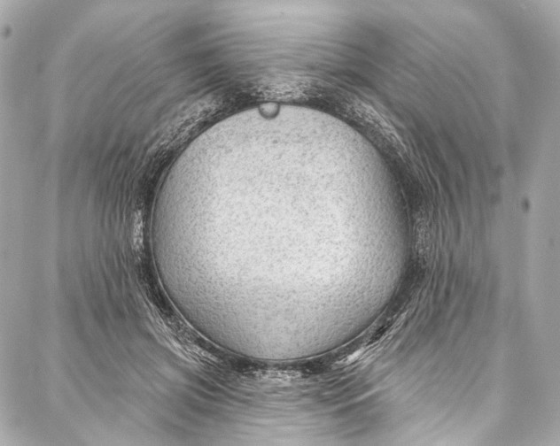 X0000087030549200705071537