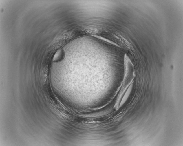 X0000087030553200705071537