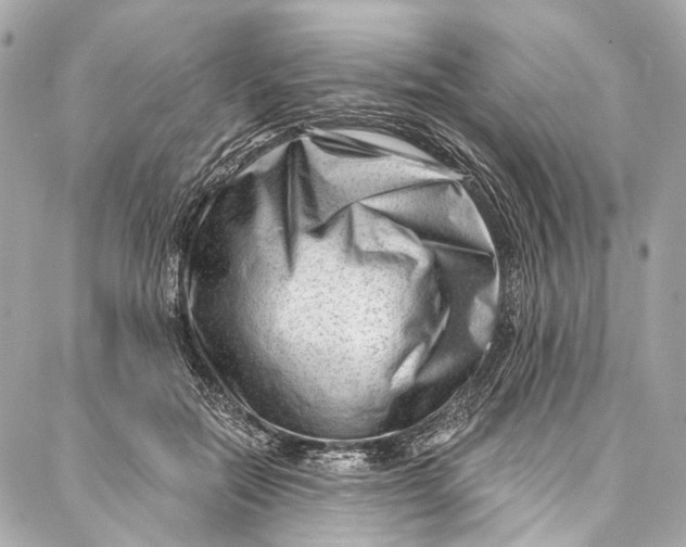 X0000087030554200705071537