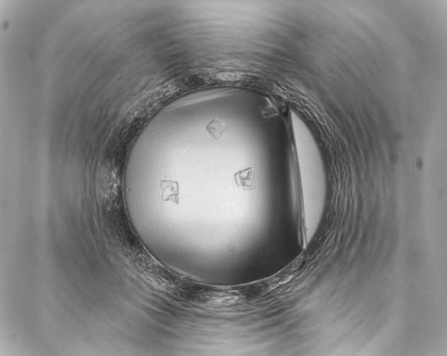 X0000087030555200705071537