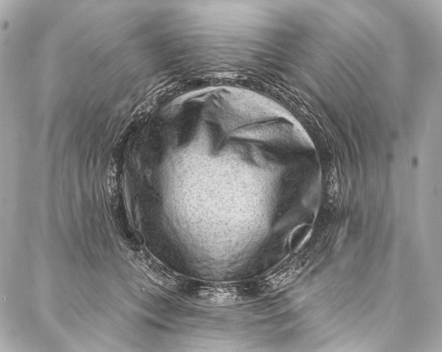 X0000087030559200705071537