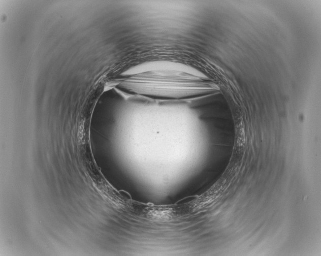 X0000087030560200705071537