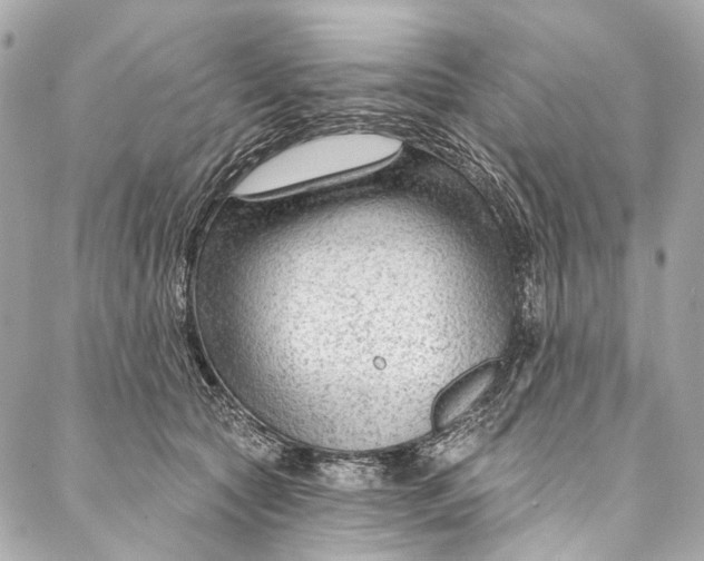 X0000087030561200705071537