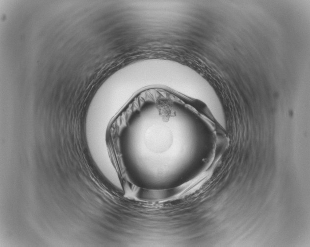 X0000087030562200705071537