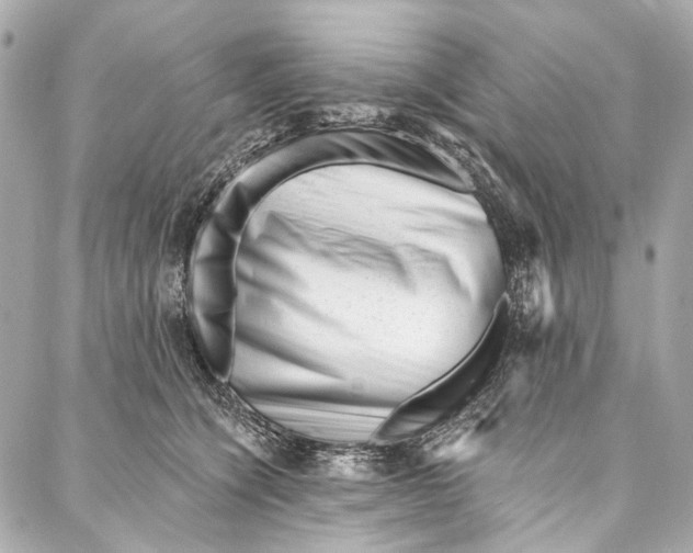 X0000087030564200705071537