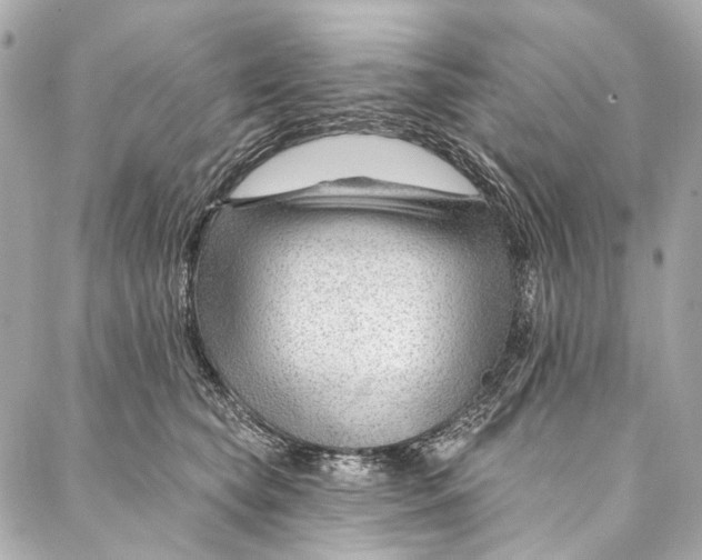 X0000087030565200705071537