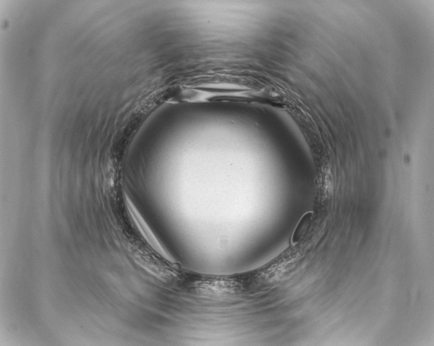 X0000087030567200705071537