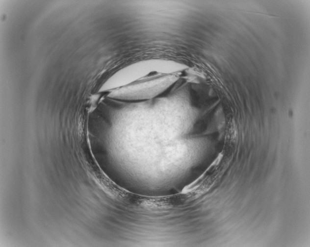 X0000087030568200705071537