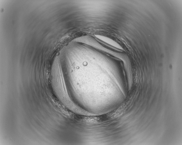 X0000087030569200705071537