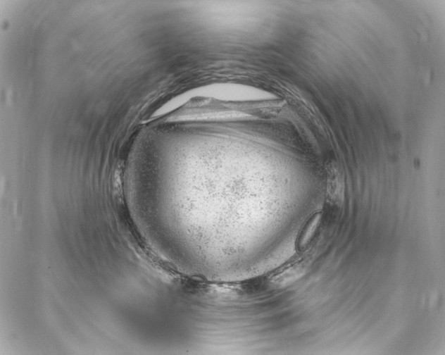 X0000087030573200705071537