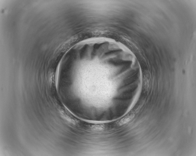 X0000087030574200705071537