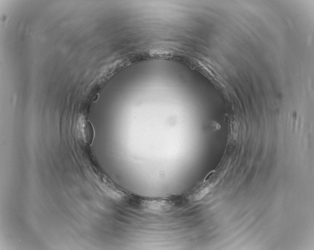 X0000087030575200705071537