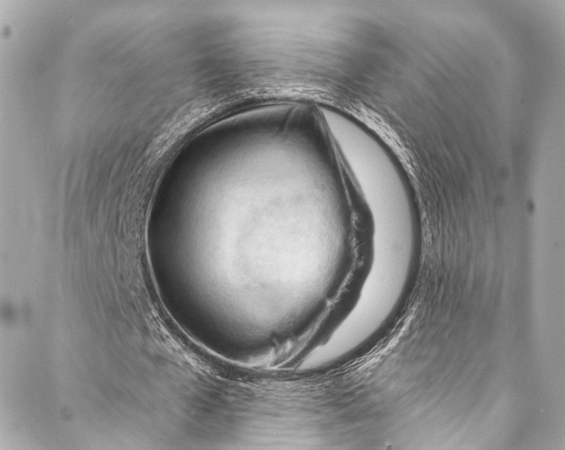 X0000087030577200705071537