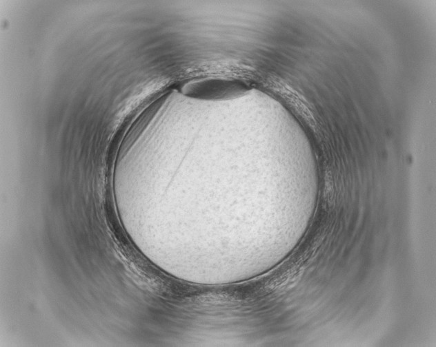 X0000087030578200705071537