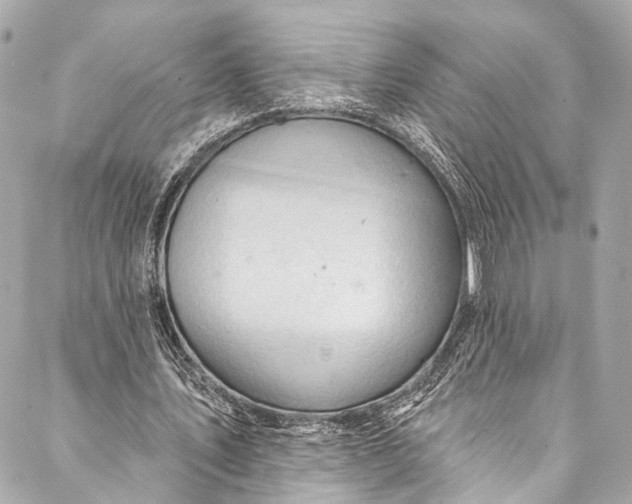 X0000087030579200705071537