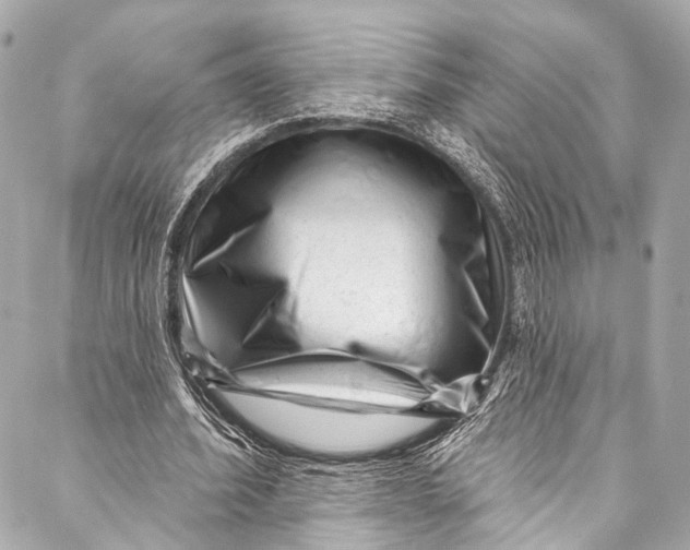 X0000087030580200705071537