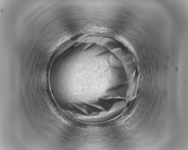 X0000087030581200705071537