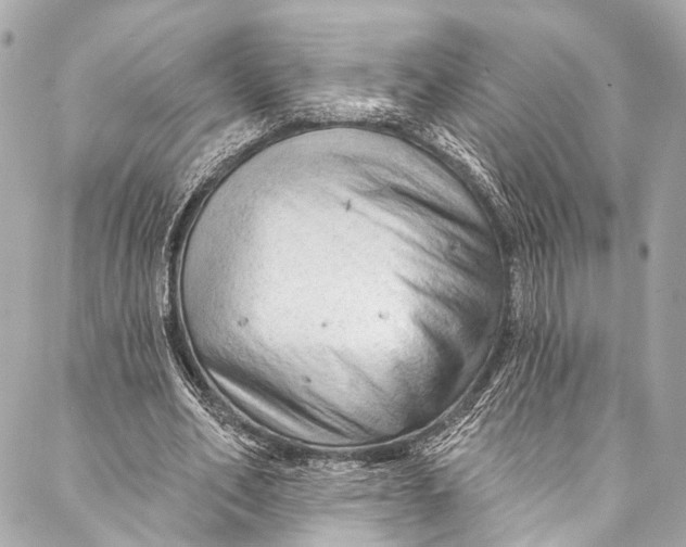 X0000087030582200705071537