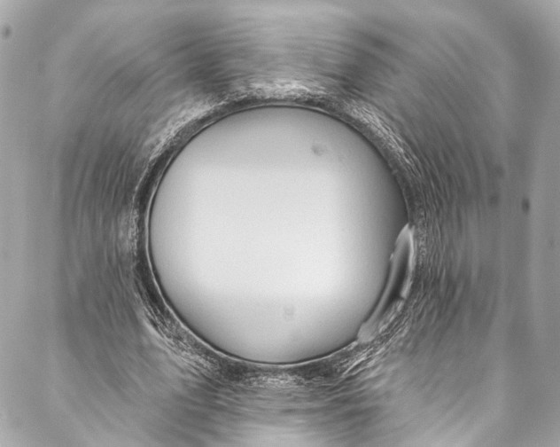 X0000087030583200705071536