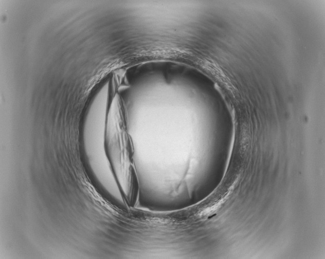 X0000087030585200705071536