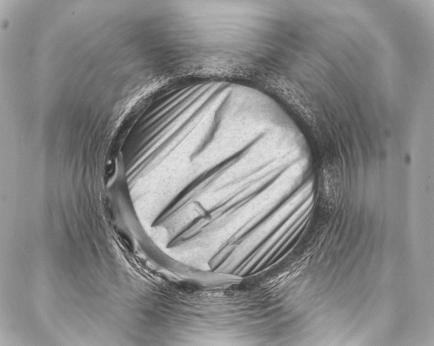 X0000087030588200705071536