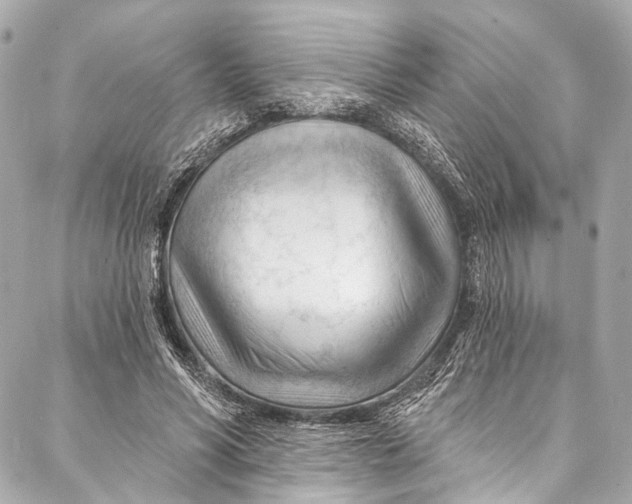 X0000087030590200705071536