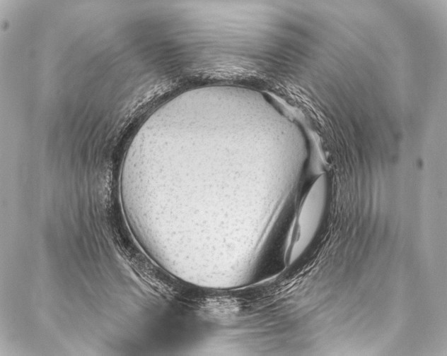 X0000087030591200705071536