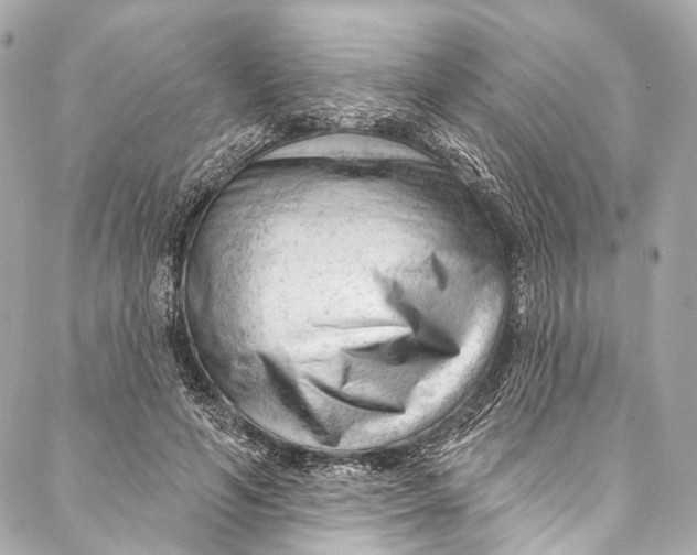 X0000087030594200705071536