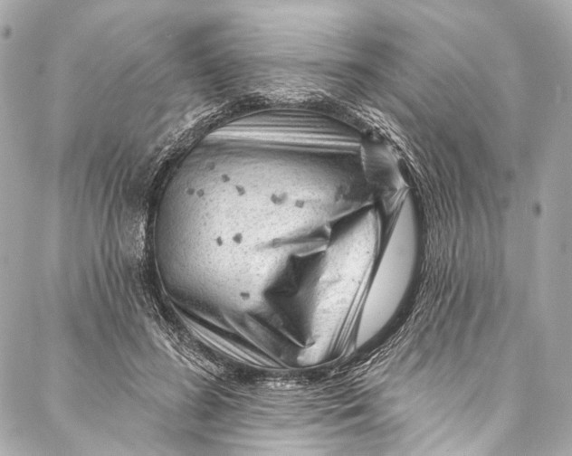 X0000087030596200705071536