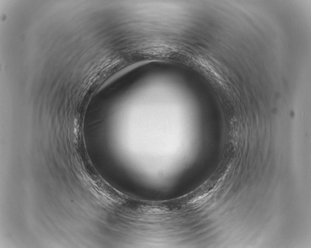 X0000087030597200705071536