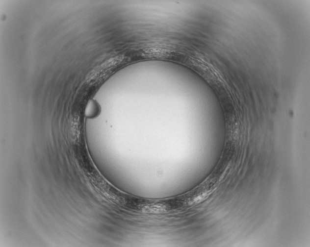 X0000087030599200705071536