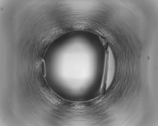 X0000087030601200705071536