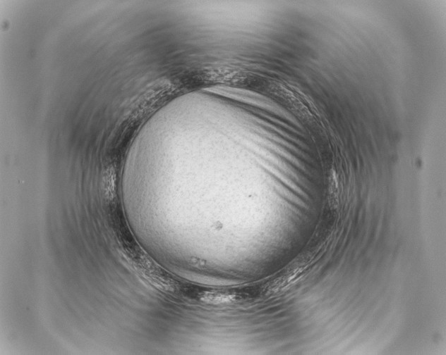 X0000087030602200705071536