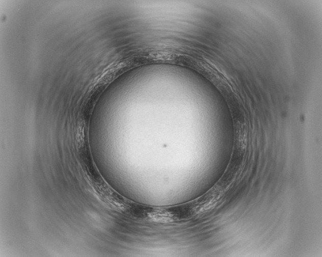 X0000087030603200705071536