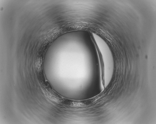 X0000087030605200705071536