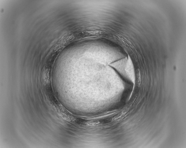 X0000087030606200705071536