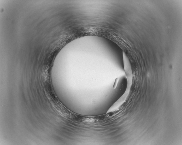 X0000087030611200705071536