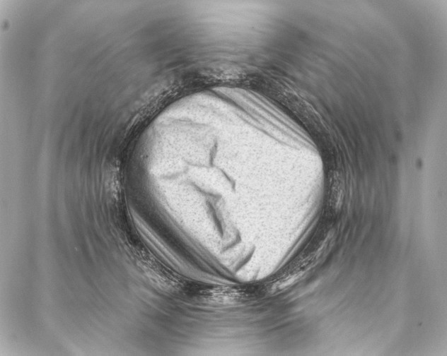 X0000087030612200705071536