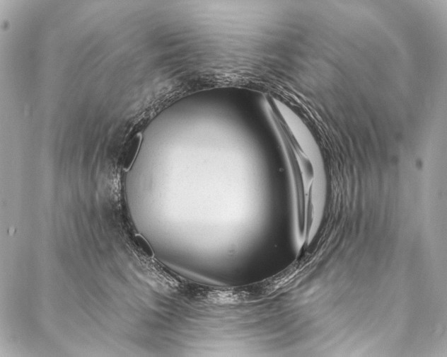 X0000087030613200705071536