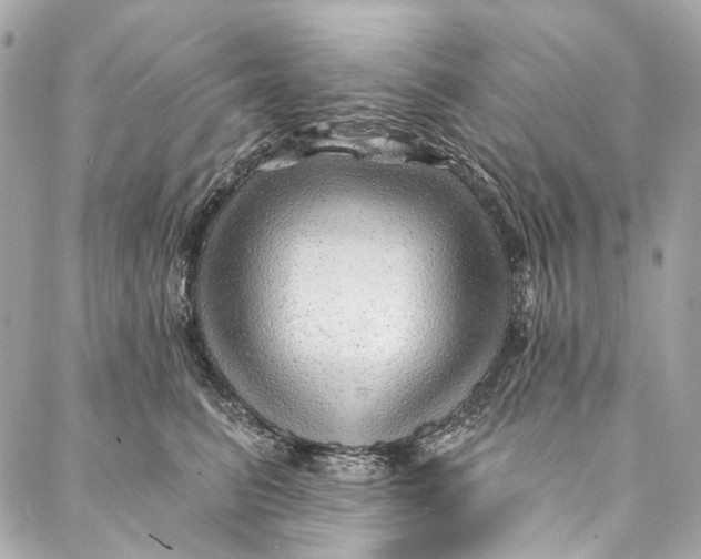 X0000087030615200705071536