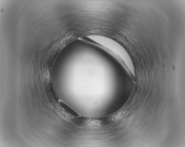 X0000087030617200705071536