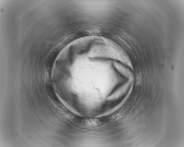 X0000087030618200705071536