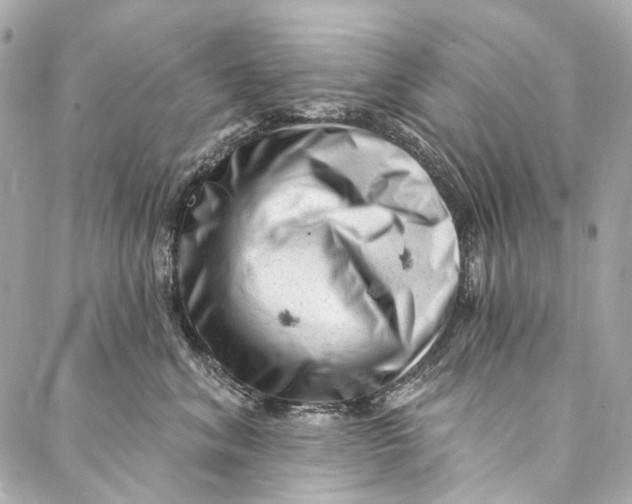 X0000087030620200705071536